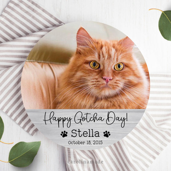 Custom Pet Photo Plate, Personalized Happy Gotcha Day Cat Plate, Cat's Birthday Cake Plate, Pet Photo Keepsake, New Pet Owner Gift Idea