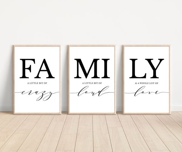 Family a little bit of crazy a little bit of loud Family 3 Set Living Room Decor, Above Couch Sign Set, Living Room Wall Art, Dining Room