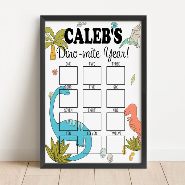 Boys Dinosaur Nursery Milestone Photo Display Board for First Birthday Party, Baby Monthly Photo Sign for Baby Girls, One Year Of Pictures